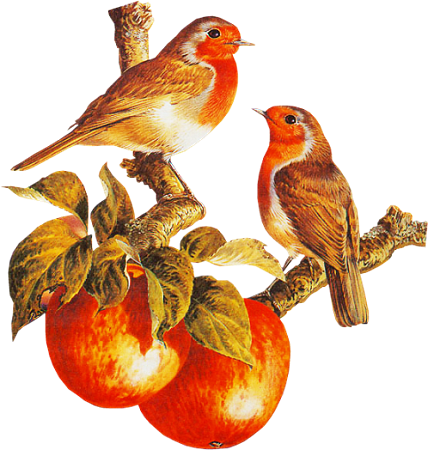 őszi állatok_45.png